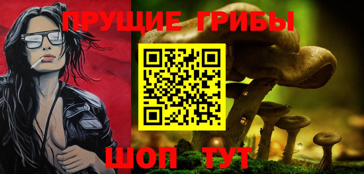 Галлюциногенные грибы Psilocybine cubensis Кунгур